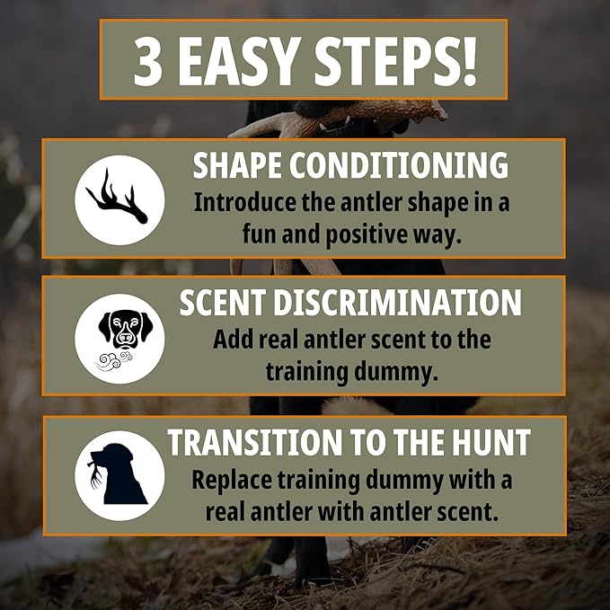 DogBone Shed Dog Training Instructional DVD (3+ Hours) | Dog Training Kit | Hunting Dog Accessories | Dog Scent Training Kit | Deer Hunting Accessories | Dog Training Tools