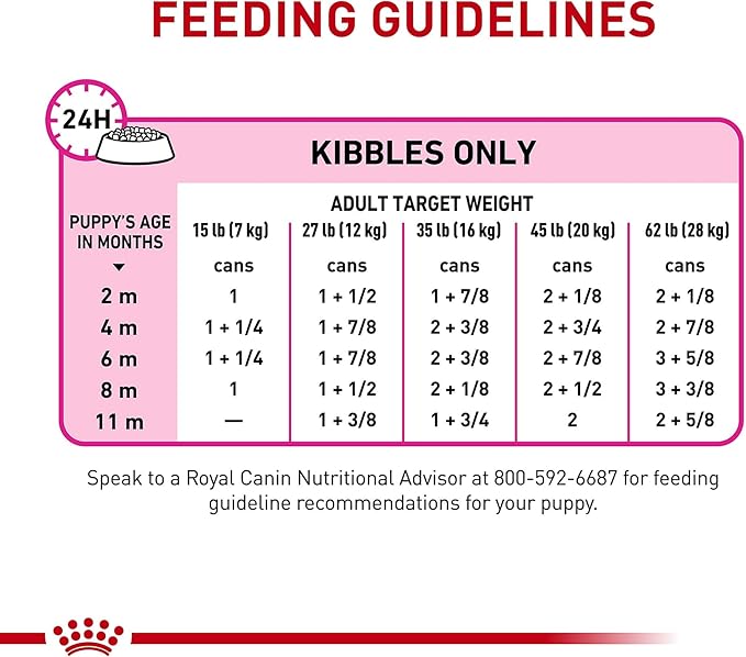 Royal Canin Canine Health Nutrition Puppy Canned Dog Food, 13.5 oz (Pack of 12)