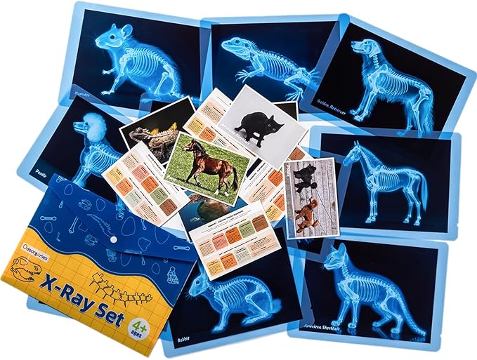 Pet Series Animal Xrays for Kids - Pet X-Rays Set, Light Table Manipulatives, Veterinarian Play Set & Dramatic Play Vet Clinic