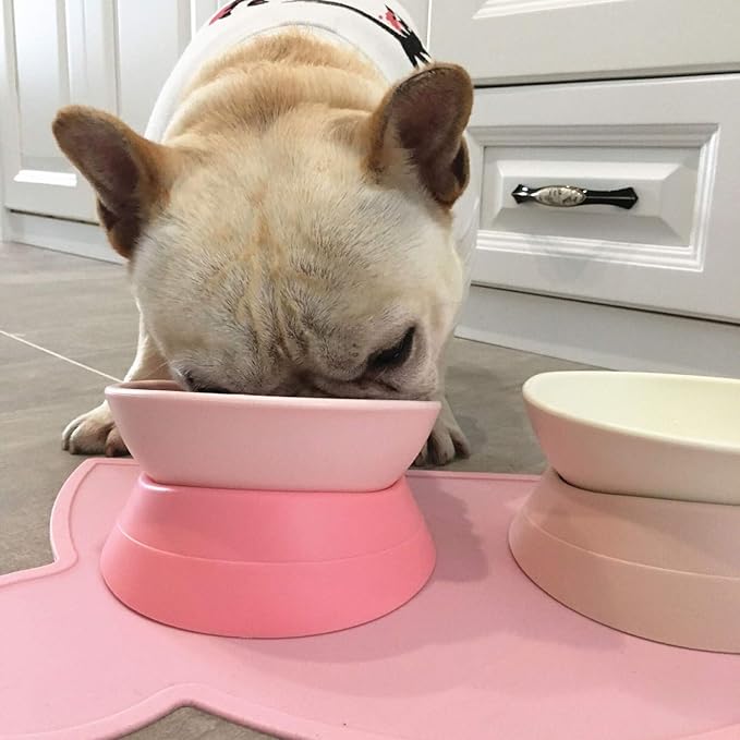DZXZY French Bulldog Food Bowl, Slanted Tilted Pug Dog Bowl,Non-Slip Pet Feeder for Frenchie, Shih Tzu, Flat Faced Small Dogs, Puppies,Cat(Green, M -2 Cup)