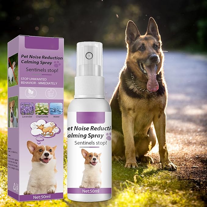 Ankexin Dog Calming Pheromone 50ml Effective Calm & Comfort Dogs During Travel Vet Visits and Stressful