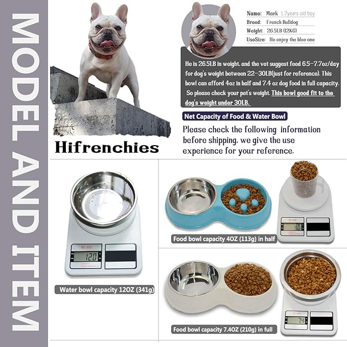 Dog Slow Eating & Drinking Bowl,Stainless Steel Interactive Slow Feed Dog Bowl for French Bulldog,Slow Down Eating Eco-Friendly pet Bowl for Frenchie (Blue)