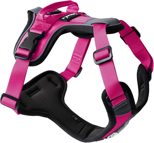 ShawnCo Basecamp Dog Harness, No-Pull Pet Vest with 3 Leash Clips, Padded, Reflective, Lightweight and Adjustable Harness with Handle for Small, Medium and Large Dogs (Orchid, L)