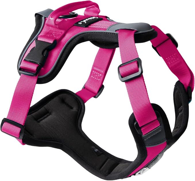 ShawnCo Basecamp Dog Harness, No-Pull Pet Vest with 3 Leash Clips, Padded, Reflective, Lightweight and Adjustable Harness with Handle for Small, Medium and Large Dogs (Orchid, M)
