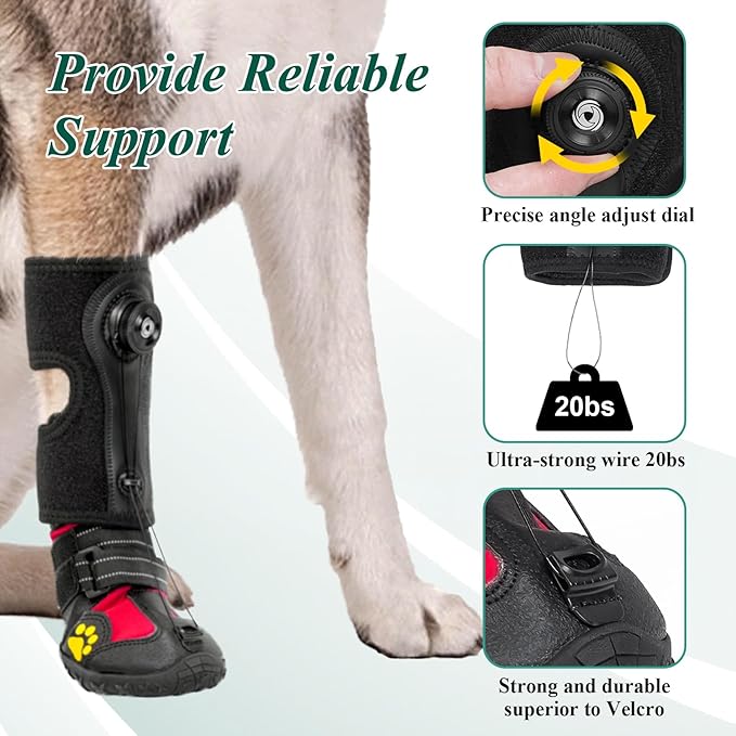 Drop Foot Brace with Reel(No Knuckling Boot Brace) for Dog - Corrective Dog Shoes to Safely Lift Toes for Foot Issues, Arthritis, and improving Walking gait in Dogs(S)
