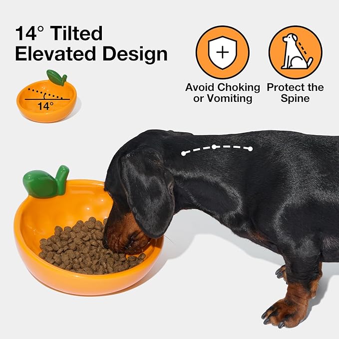 VETRESKA Ceramic Pet Bowl Tilted Design Pet Feeder for Food and Water Anti Vomit Cat Bowls for Indoor Cats Cute Tangerine Cat Bowl Dishwasher Safe