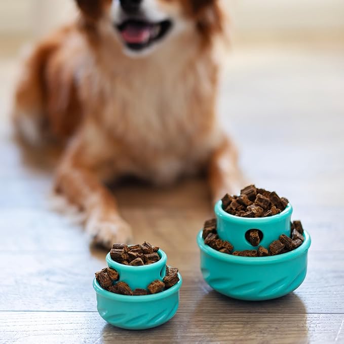 Messy Mutts Totally Pooched Puzzle 'n Play Mushroom | Stuffable Treat Toy for Dogs |Durable TPR | 3.25”” x 2.5” (Small) Dog Toy | Teal