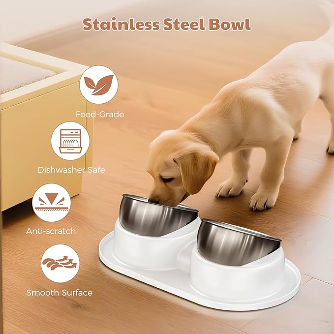 Cat Bowls, Tilted Cat Food and Water Bowl Set Anti Vomiting, Stainless Steel Dog Food Bowl with Base, Non-Slip Pet Feeder Bowls for Puppy Small Dogs Cats