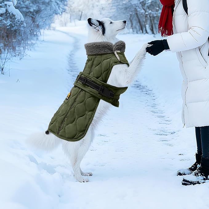 Dog Coats, Warm Puppy Apparel with Fleece Lining for Cold Weather, Windproof Medium Dog Winter Jacket, Reflective Dogs Snow Coat with Leash Hole and Adjustable Buckle, NewGreen M