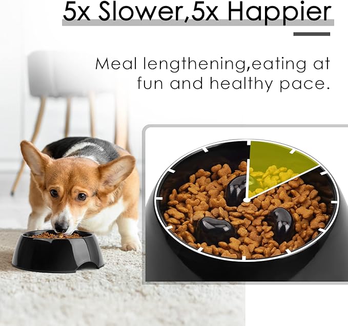 Super Design Slow Feeder Dog Bowl, 1 Cup(Holds Approx. 300ml), Non-Slip, Heat-Resistant, Sturdy, Dishwasher Safe, Suitable for Large Dogs