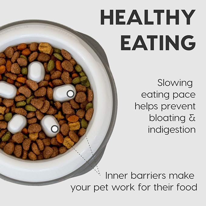 IRIS USA 4-Cup Slow Feeder Bowl, Anti-Choking & Anti-Slip Puzzle Dish for Healthy Digestion, Long Snout Dogs & Cats, BPA & PVC-Free, Beige/Black