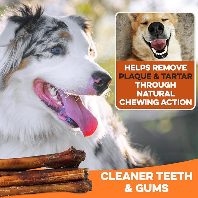 BRUTUS & BARNABY Bully Sticks for Dogs, Jumbo – Low-to-No Odor, Grass-Fed, Rawhide-Free Chews for Aggressive Power Chewers