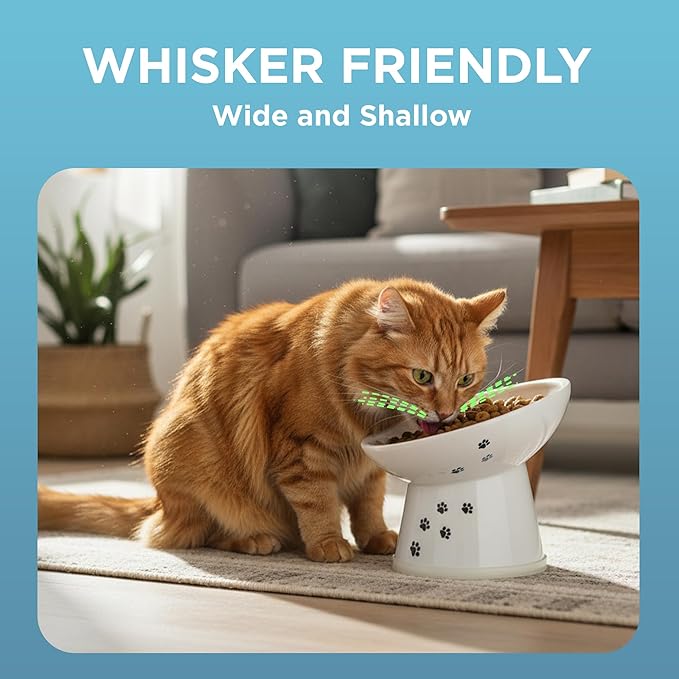 Necoichi Raised Cat Food Bowl – Ceramic Elevated 15° Tilted Cat Bowl for Whisker & Neck Fatigue, Dishwasher Microwave Safe – Non-Slip & Anti Vomiting Ergonomic Design (Cats, Regular Tilted)