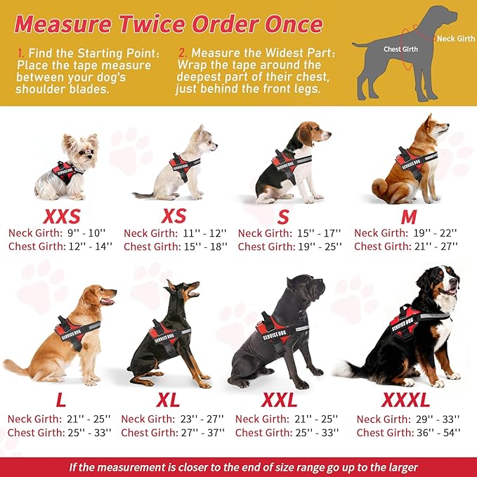 Service Dog Vest, ID Tag 50 ADA Information Cards, Service Dog Harness w Patch in Sizes XX Small to XXX Large, Metal Dog Tag has Ruggedized Clip, Service Animal Cards, ESA Accessory Set XX-Small