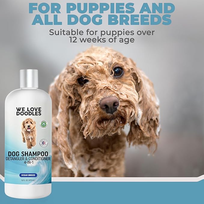 We Love Doodles Dog Shampoo & Dog Detangler Spray Pack - Pet Shampoo & Conditioner for Dogs, Doodle Detangler Spray, Cleans & Moisturizes, Reduces Tangles & Mats, Ocean Breeze, Total 32 oz