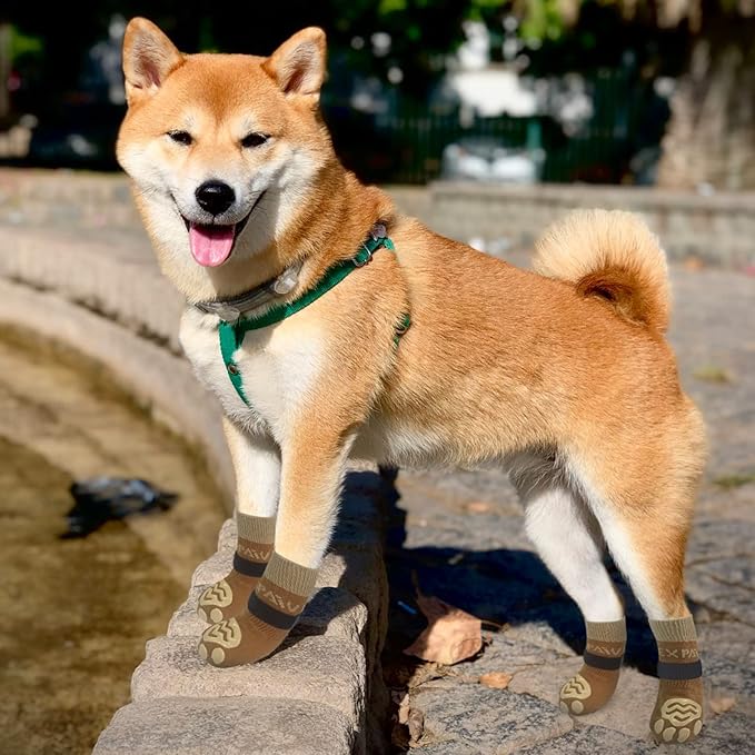 EXPAWLORER 6PCS Anti-Slip Dog Socks to Prevent Licking Paws,Dog Shoes for Hot Pavement,Best Paw Protector Traction Control on Hardwood Floor,Dog Booties for Puppy Small Medium Large Senior Dogs
