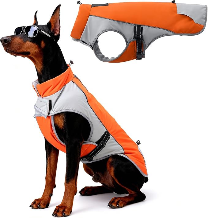 Warm Dog Cold Weather Coats - Waterproof Dog Winter Clothes with Reflective Straps, Adjustable Buckle & Leash Hole for Poodle, Dachshund,Border Terrier, Yorkshire Terrier，Orange & Gray XL