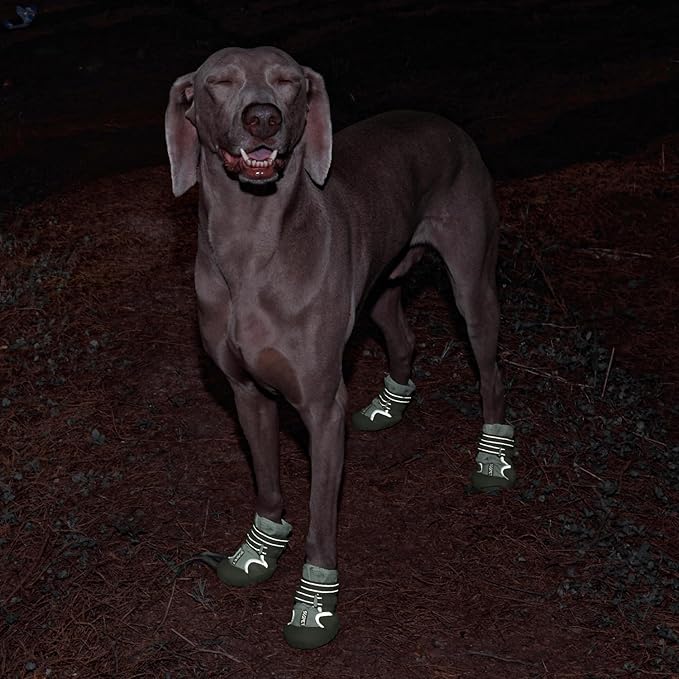 Dog Shoes, Waterproof Dog Boots & Paw Protectors with Anti-Slip Sole, 4pcs/Set Pet Dog Booties, Reflective Dog Shoes for Small Medium Large, Winter Snowy Summer Hot Pavement (Green, 6# (L))