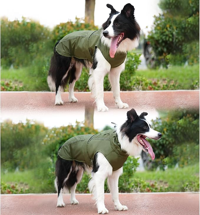 Waterproof Dog Raincoat, Adjustable Lightweight Dog Rain Jacket with Reflective Strip Leash Hole for Small Medium Large Dogs (Green, Medium(13-22lb))