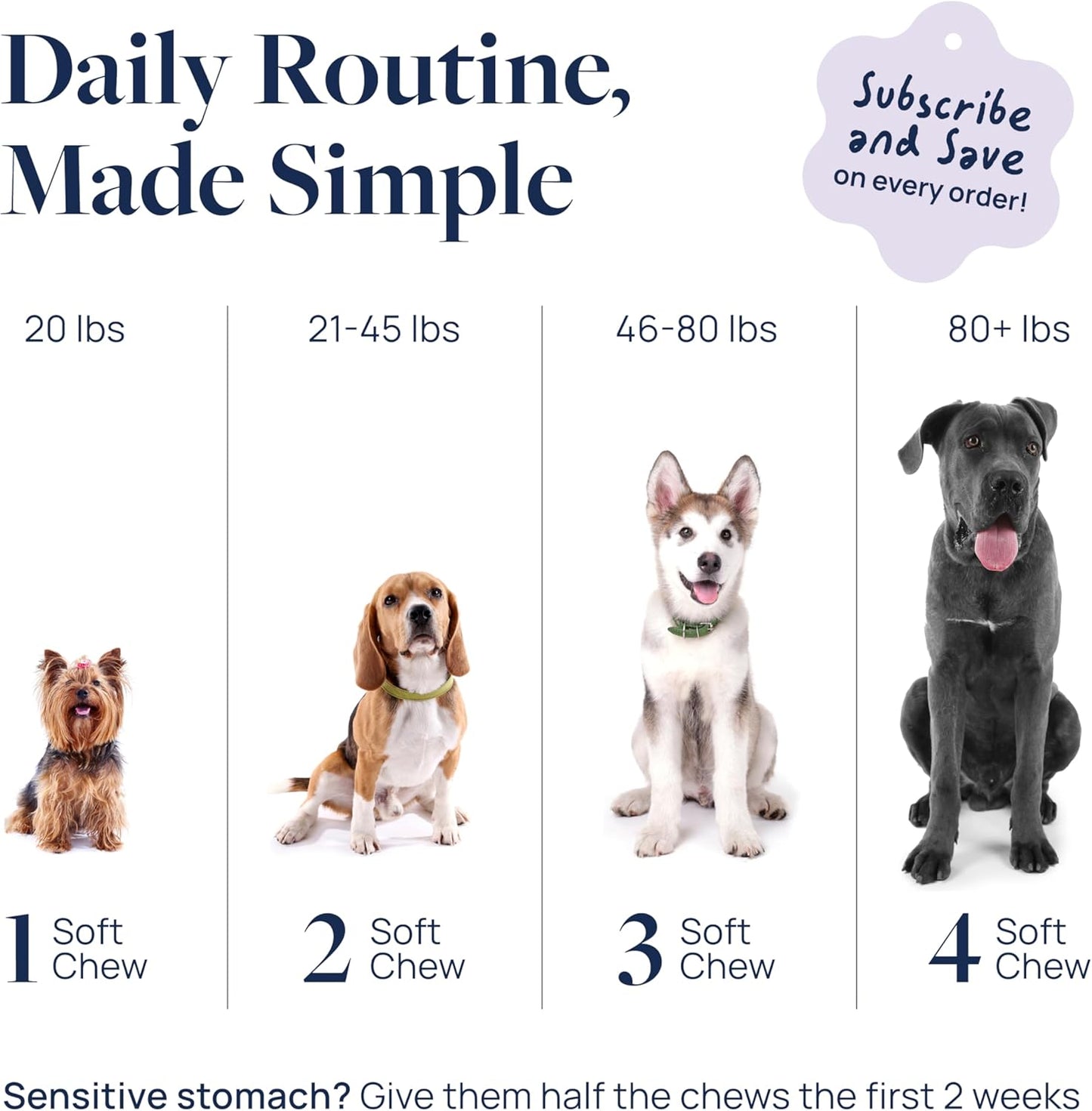Daily Calm Chews – Vet-Formulated Stress Relief + 60-Day Supply