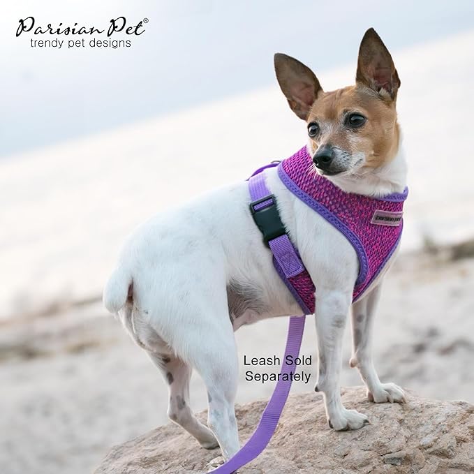 Parisian Pet Girl Soft Padded Purple/PinkMesh Fabric Dog Vest Harness - Small-Sized, Cooling, Walking, Running & Hiking, Puppy Friendly