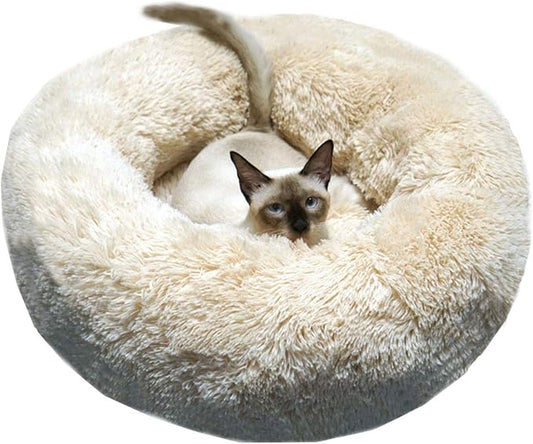 BODISEINT Modern Soft Plush Round Pet Bed for Cats or Small Dogs, Mini Medium Sized Dog Cat Bed Self Warming Autumn Winter Indoor Snooze Sleeping Cozy Kitty Teddy Kennel (24'' D x 8'' H, Champagne)
