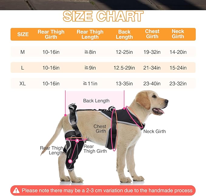 Dog Knee Support for ACL Tear Rehabilitation and Dislocated Patella -Adjustable Leg Support and Sufficient Breathability,Injury Recovery and Balance Assistance-Right Leg-L Size