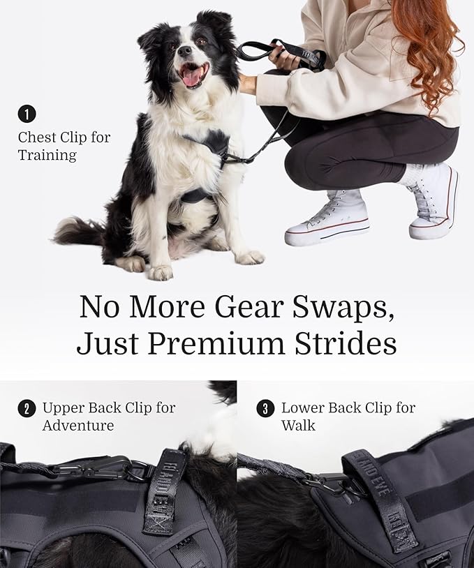 2025 New Edition, Fei & Eve Classic Dog Harness - Quick-Release Buckles | 3-Point No-Pull Control | Heavy-Duty 900D Nylon | Dual Safety Handles | Breathable Mesh | Adjustable Fit | Medium,Black