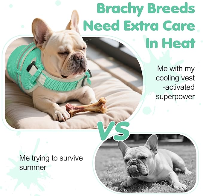 Cooling Vest for Small Dog,Lightweight Cooling Dog Jacket,Breathable Mesh Dogs Shirt Harness Vest with Adjustable Straps Reflective Stripe for Hot Weather with D-ring for Beach,Hiking,Walking,S