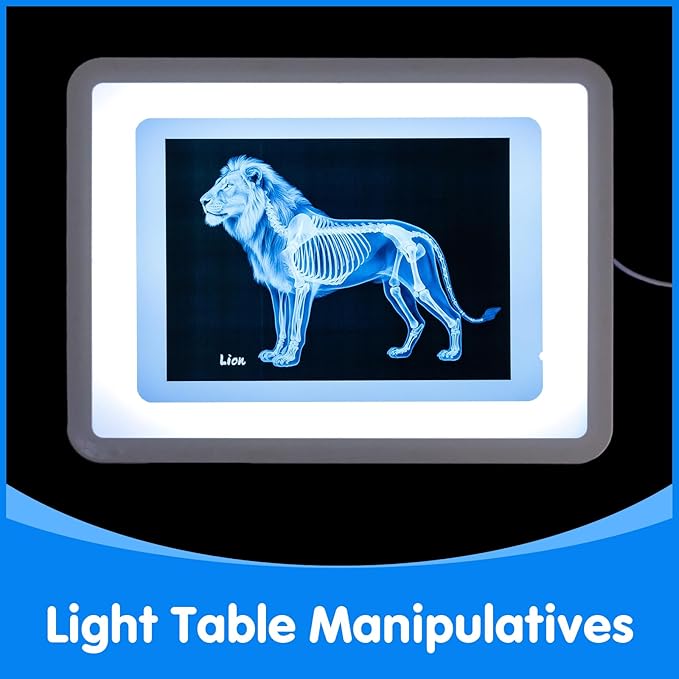 Zoo Animal Xrays for Kids - 15 Pcs Animal Science Kit for Vet Role Play, Light Table Accessories, and Exploring Bone Structure
