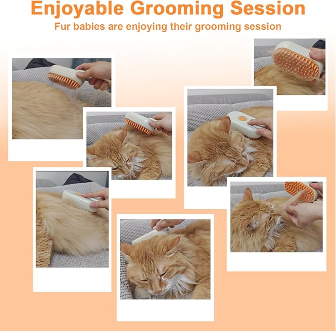 Interactive Cat Toys & Cat Steam Brush