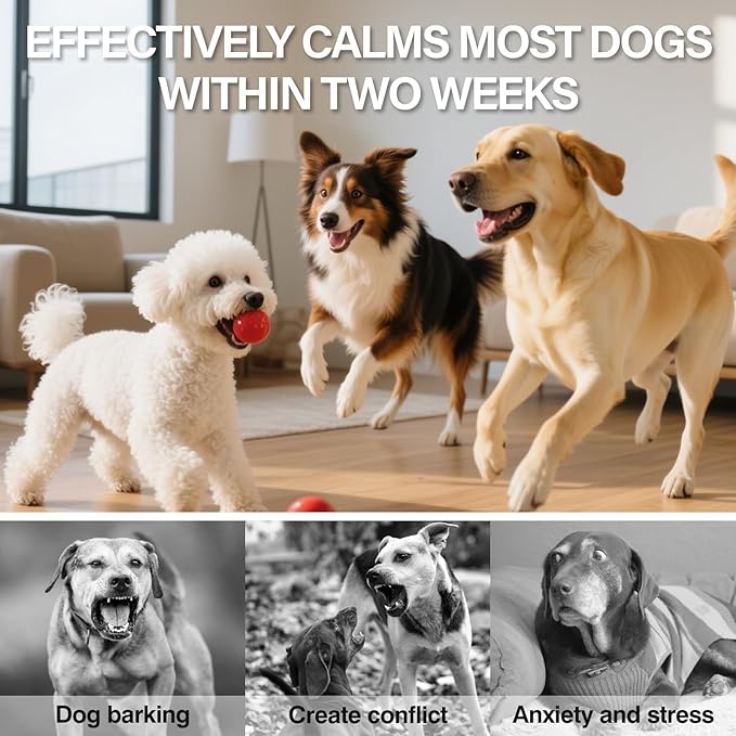 SHANDR Dog Calming Pheromones Diffuser 6 in 1 Appeasing Relaxing Diffuser with Timing Function Pet Kit (3 Plug in +3 Refill 48ml) for Anxiety Relief Reduce Aggression Barking Fighting Stress (Mint)