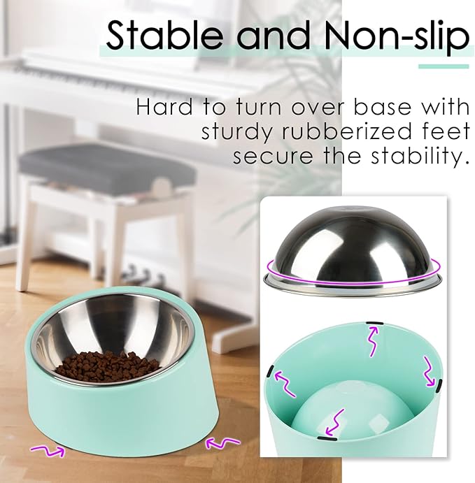 SuperDesign Mess Free 15° Slanted Bowl for Dogs and Cats, Tilted Angle Bulldog Bowl Dog Feeder, Non-Skid & Non-Spill, Easier to Reach Food M/1 Cup Teal