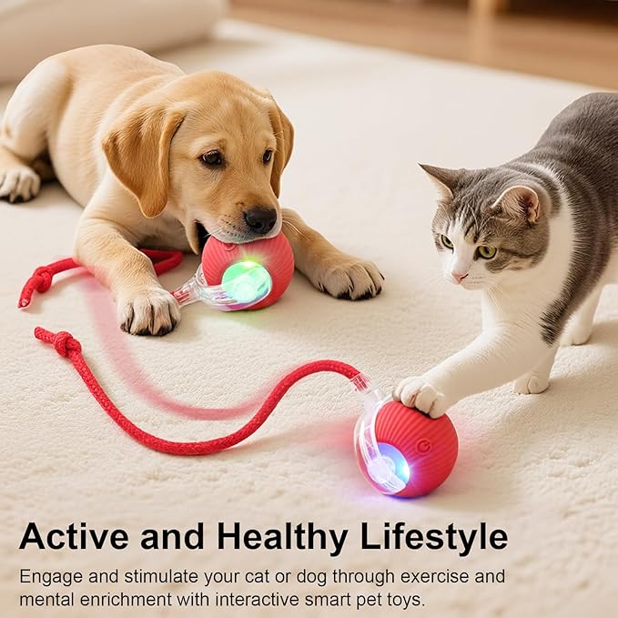 Interactive Electric Automatic Rolling Moving USB Rechargeable Self Activated Play Stimulation Toy Smart Chase Teaser Ball with Speedy Tail Rope for Bored Adult Indoor Cats Puppy Dogs, Blue