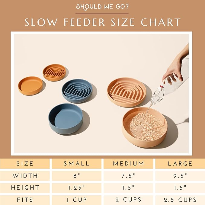 Should We Go? Slow Feeder for Dogs & Puppies, The Slowdown Bowl Silicone Slow Eating, Modern Lick Mat Design, Reduces Gulping, Fits 2.5 Cups 9.5” Across x 1.5” Tall, Mealtime Challenge, Large-Charcoal