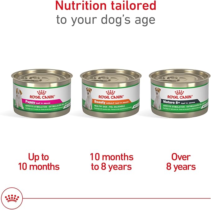 Royal Canin Canine Health Nutrition Adult Beauty Loaf in Sauce Dog Food, 5.2 oz (Pack of 12)