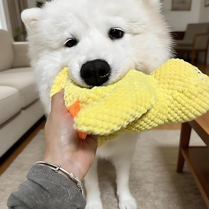 Quacking Duck Dog Toy - Interactive Plush Chew Toy with Realistic Squeaky Sounds for Anxiety Relief - Fun Play Toy for Cats & Dogs, Pet Use Only (Yellow, Medium)
