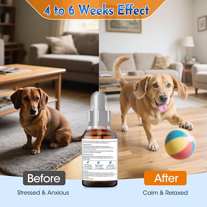 1.76 Fl Oz Calm The Eff Down for Dog - Stress Relief Supplement for Dogs Natural Dog Calming Anxiety Relief for All Life Stages and Breeds - Calm Down Calming Drops for Dogs