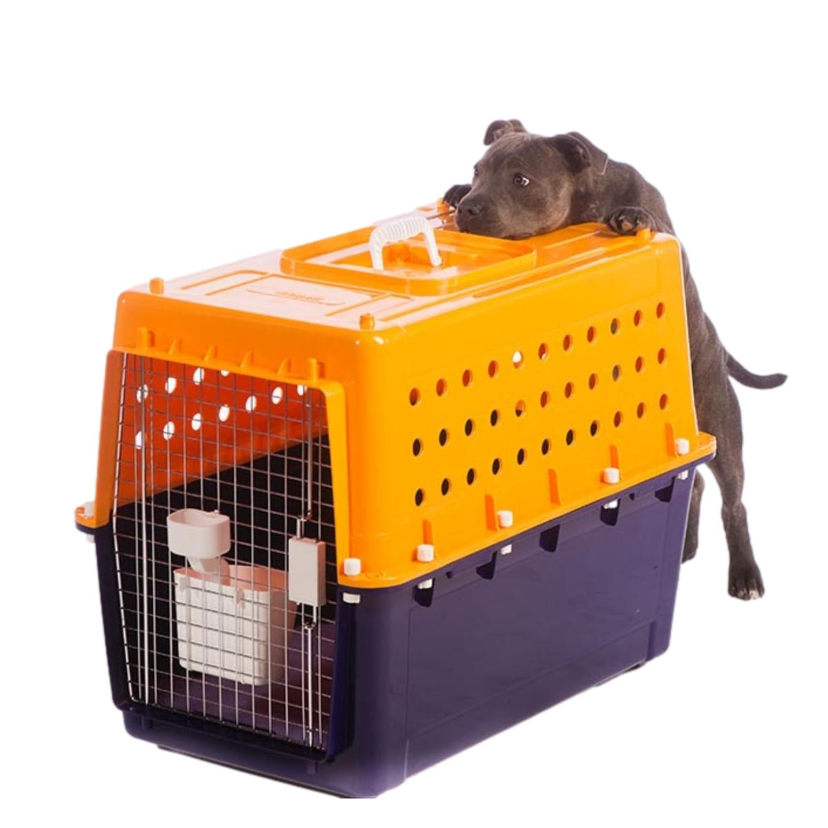Pet Crate - Durable, Heavy Duty Dog Cat Kennel - Image 1