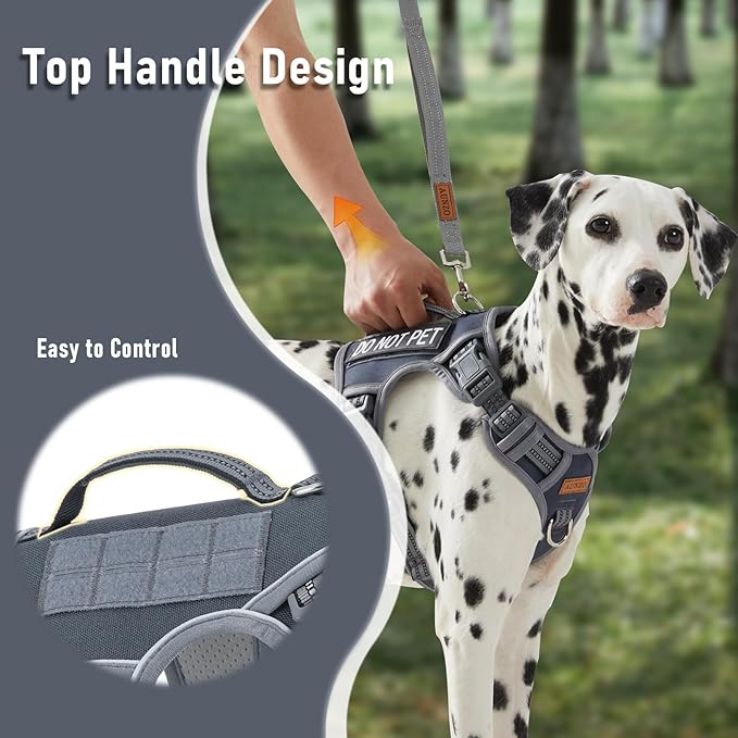 No-Pull Dog Harness for Small Dog Breeds, Anti-Escape Easy Walking Reflective Adjustable Lightweight Dog Vest with Breathable Oxford Material, Easy on Easy Off with Neck Buckle, Gray XS