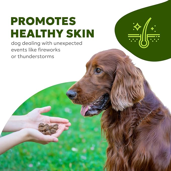 Dog Allergy & Itch Relief Soft Chews – Omega-3, Biotin, Collagen, Fish Oil – Reduces Shedding, Supports Healthy Skin & Coat, Year-Round Allergy Comfort – 60ct