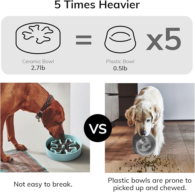 Slow Feeder,Ceramic-Slow Feeder Dog Bowls Elevated for Medium Breed,2.5 Cups Slow Feed Dog Bowl with Stand,Turquoise