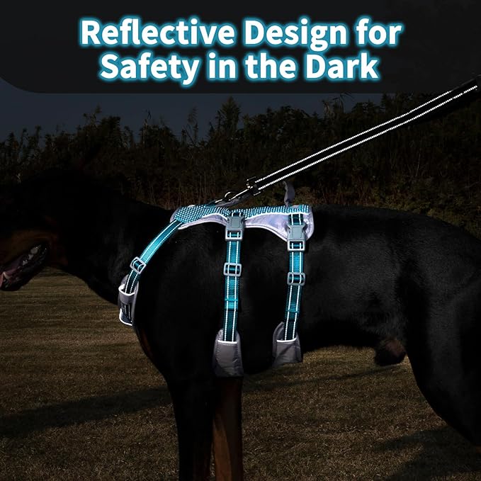 Huntboo Reflective Dog Harness with Handle, Escape Proof, No Slip, Breathable, Lightweight, Adjustable Lift Harness for Small, Medium, and Large Dogs Walking, Training, and Running Gear(Teal Blue,S)