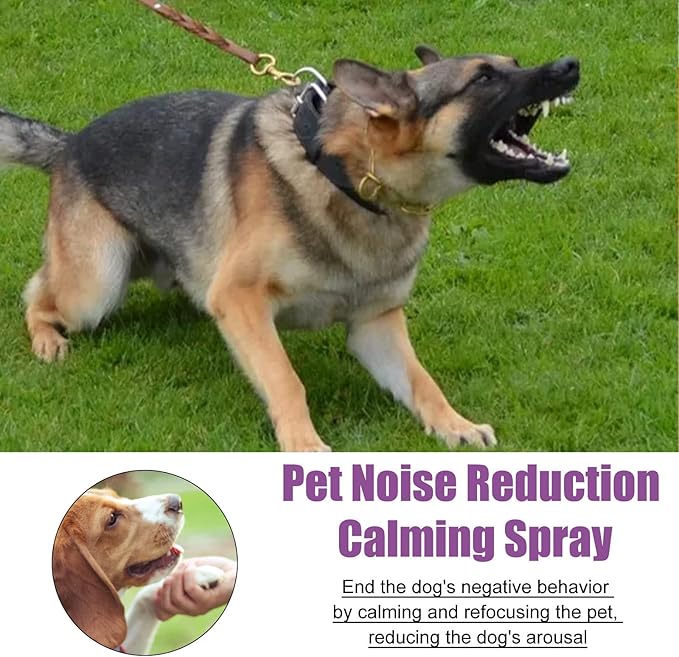 Ankexin Dog Calming Pheromone 50ml Effective Calm & Comfort Dogs During Travel Vet Visits and Stressful