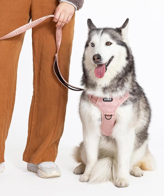 2025 New Edition, Fei & Eve Classic Dog Harness - Quick-Release Buckles | 3-Point No-Pull Control | Heavy-Duty 900D Nylon | Dual Safety Handles | Breathable Mesh | Adjustable Fit | X-Large, Pink