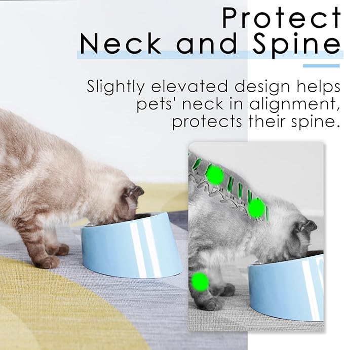 SuperDesign Mess Free 15° Slanted Bowl for Dogs and Cats, Tilted Angle Bulldog Bowl Dog Feeder, Non-Skid & Non-Spill, Easier to Reach Food L/2 Cup Blue