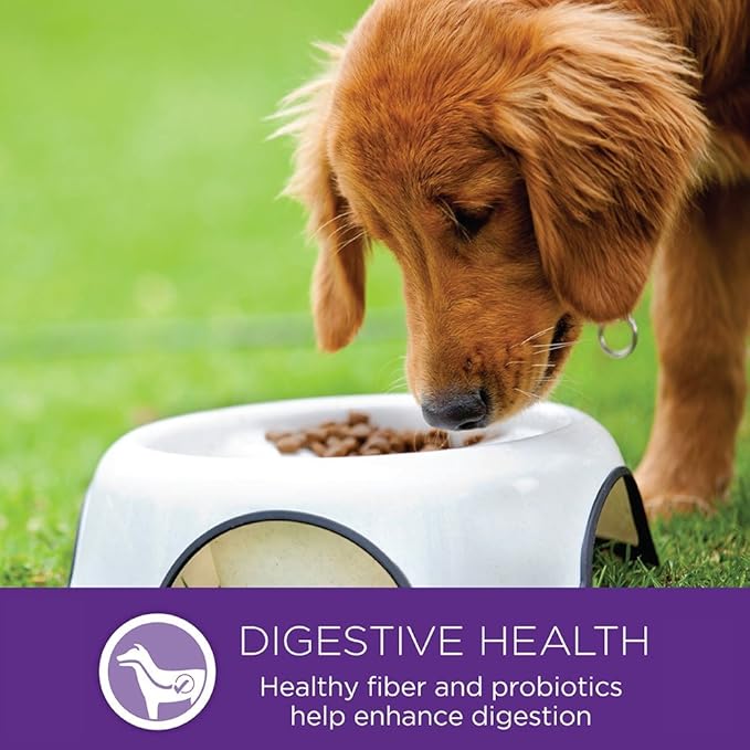 Wellness Complete Health Puppy Dry Dog Food, Small Breed, Wholesome Grains, Natural, Turkey, Oatmeal, & Salmon Recipe, (4-Pound Bag)