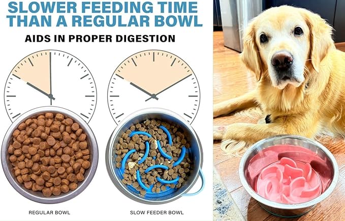 Slow Feeder Insert for Dog Bowl with Suction Cups – Anti-Choke Silicone Design Fits Most Dog Bowls – Includes 3 Finger Toothbrushes for Puppy & Pet Dental Care| We Give Back