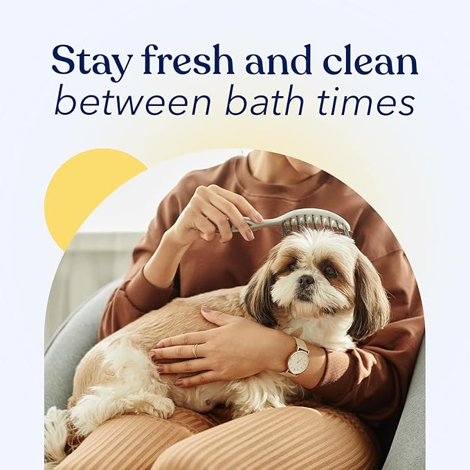 Honest Paws Dog Dry Shampoo - Waterless No Rinse Foaming Formula Reducing Itch Cleanse Hydrate Nourish Dry Skin and Smelly Coat Help Decrease Odor Shedding and Allergies - Oatmeal & Lavender - 8 fl oz