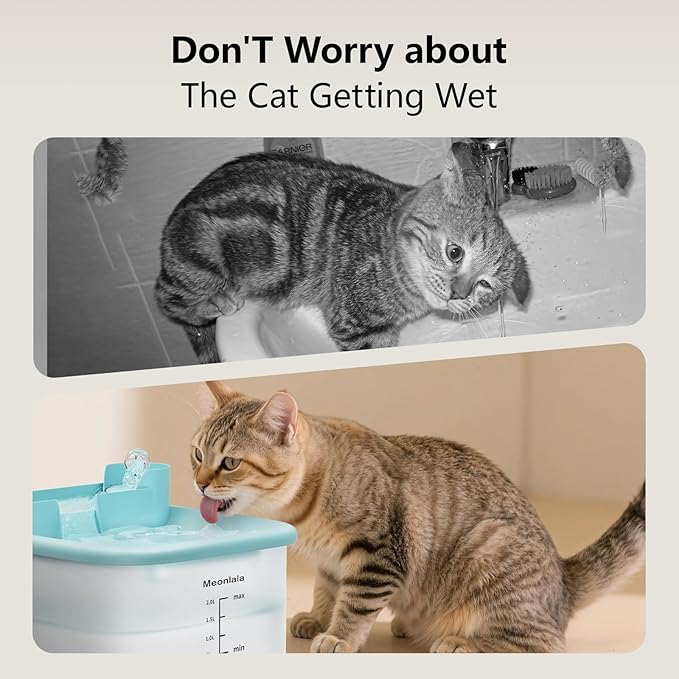 Cat Water Fountain 68oz/2L-Ultra Quiet Water Fountains for Cats Indoor,Pet Water Fountain,Continuous Water Flow， Automatic Water Dispenser for Cats with Filters for Small and Medium Animals（Blue）